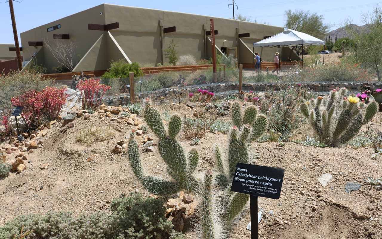 Mojave Garden