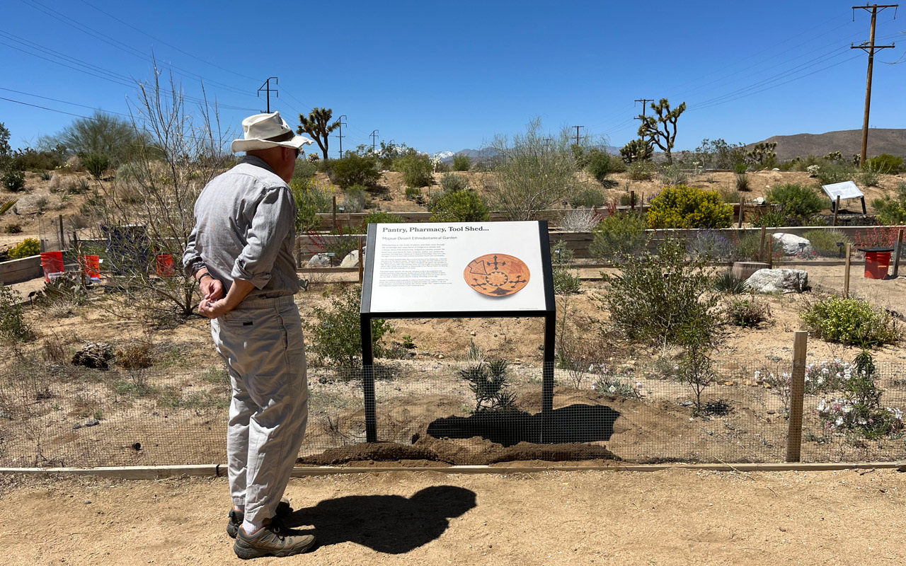 Mojave Garden